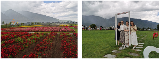 6373791859254678486368548.png 6373791859254678486368548.png