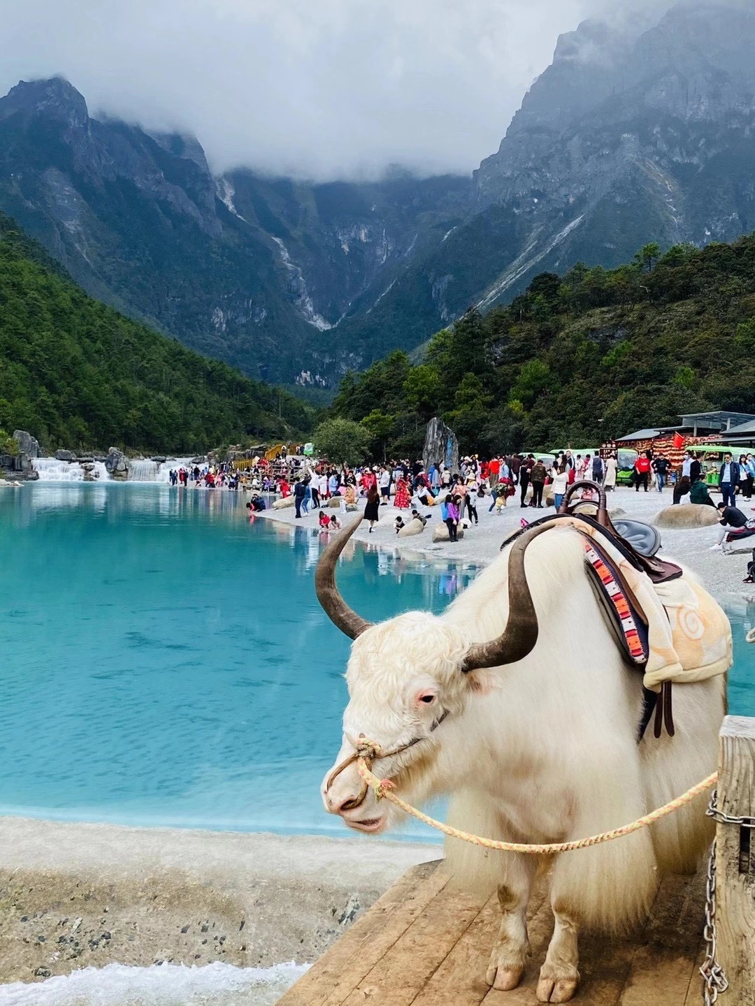 6373791883229720181590240.jpg 6373791883229720181590240.jpg