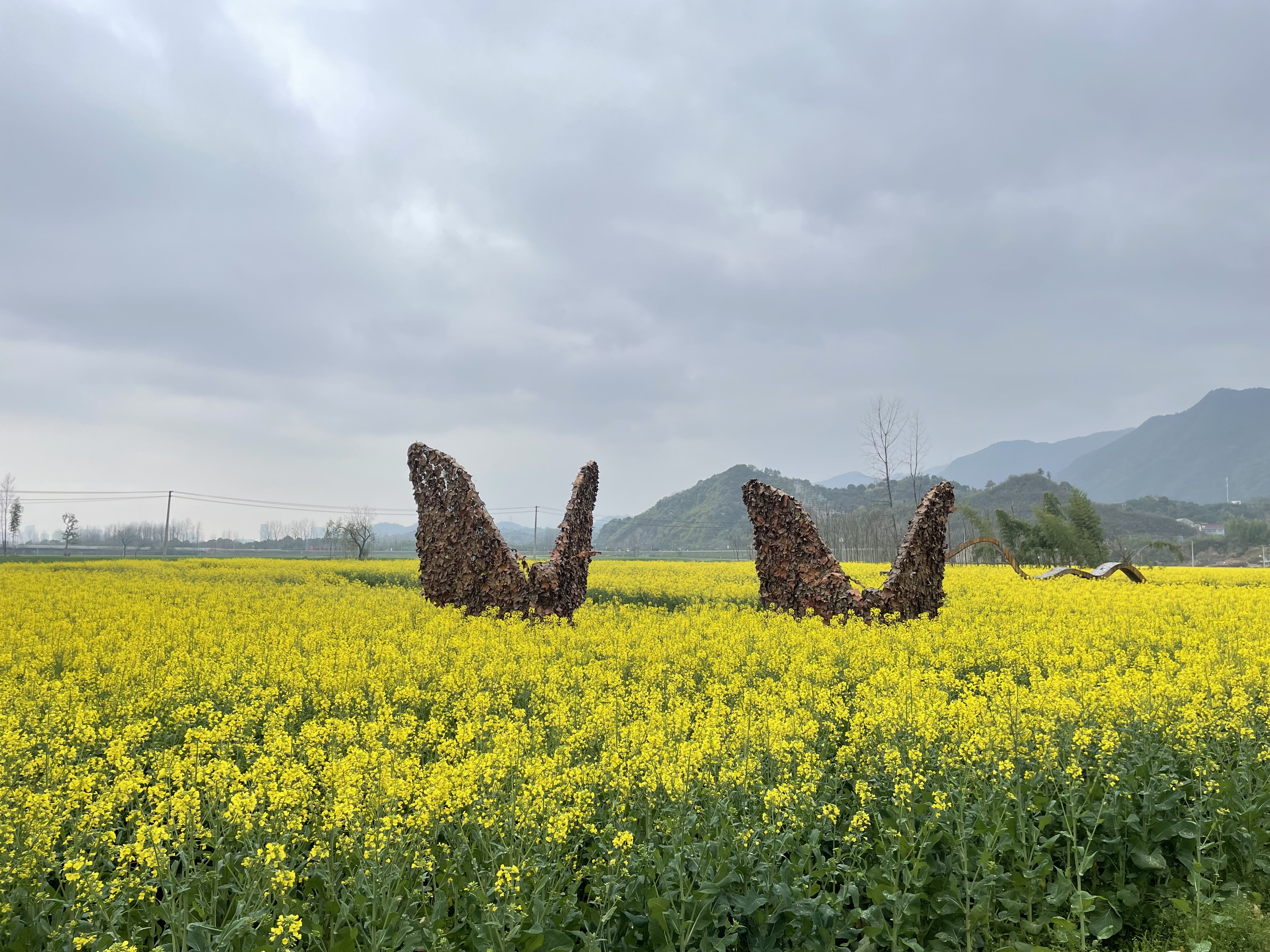 7159E2E754BA4ABA01EC1CF5BDC48C0E.png 7159E2E754BA4ABA01EC1CF5BDC48C0E.png